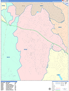 Aliso Viejo  Wall Map Color Cast Style